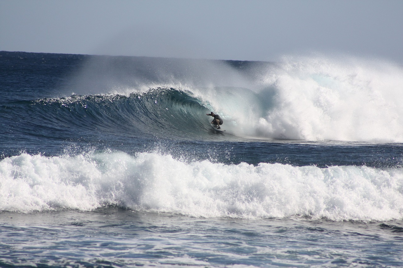 reef surf waves free photo