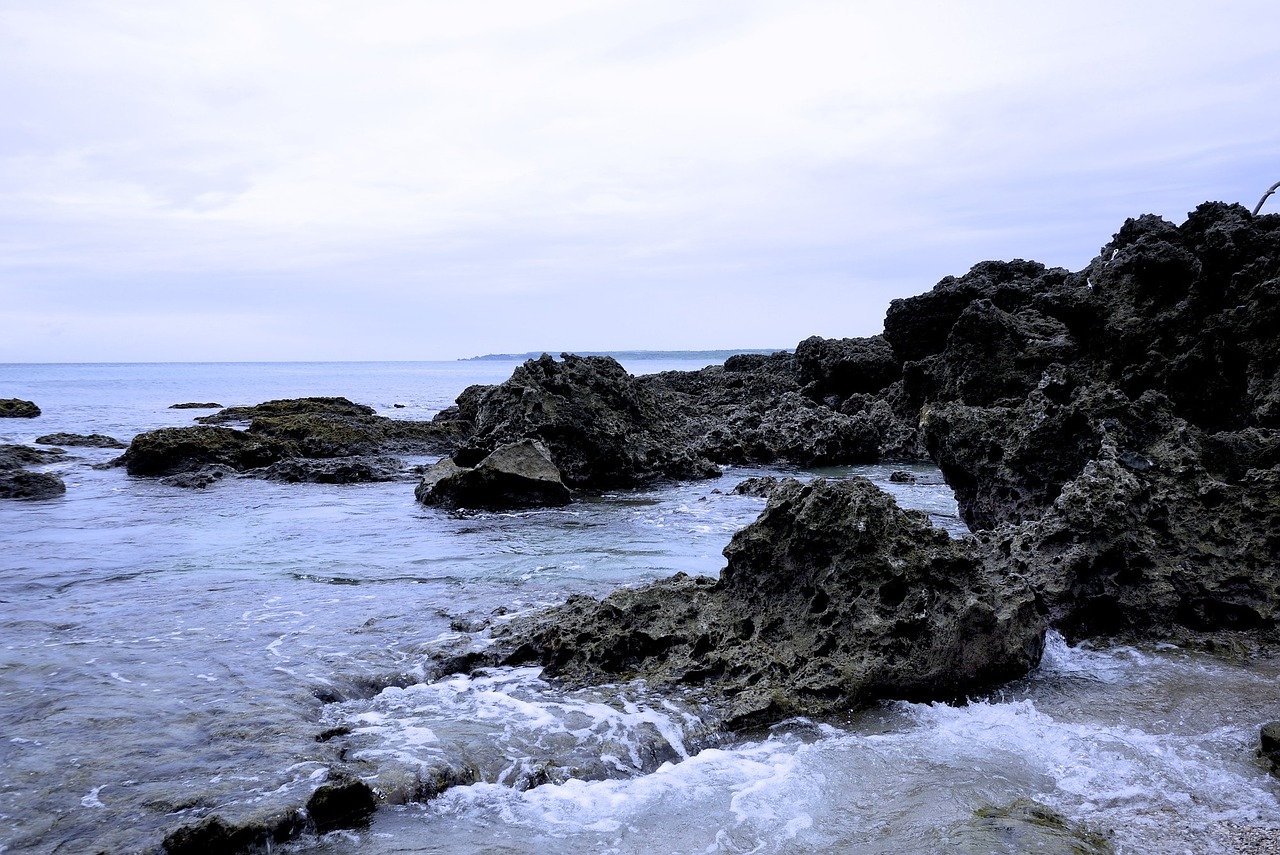 reef rock taiwan butyl 墾 free photo