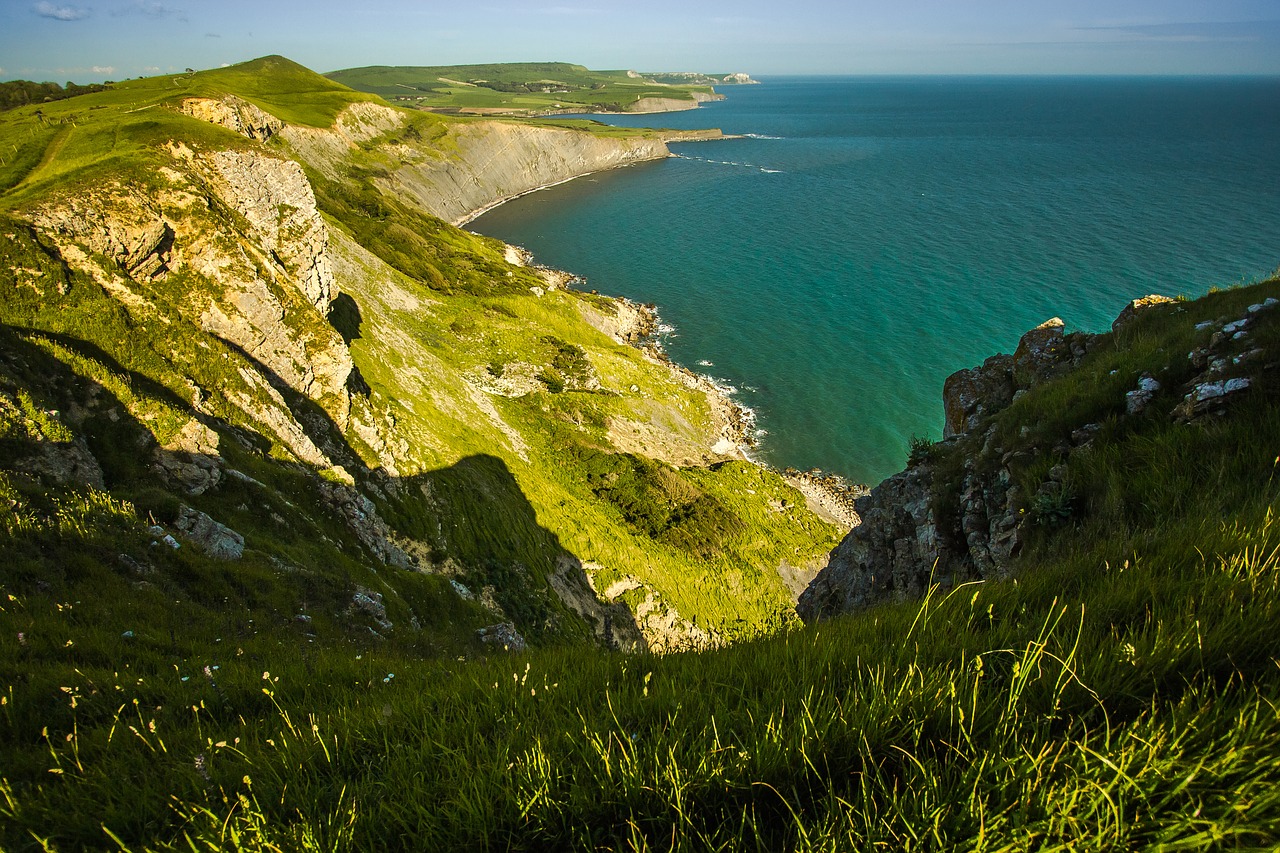 reefs coast dorset free photo