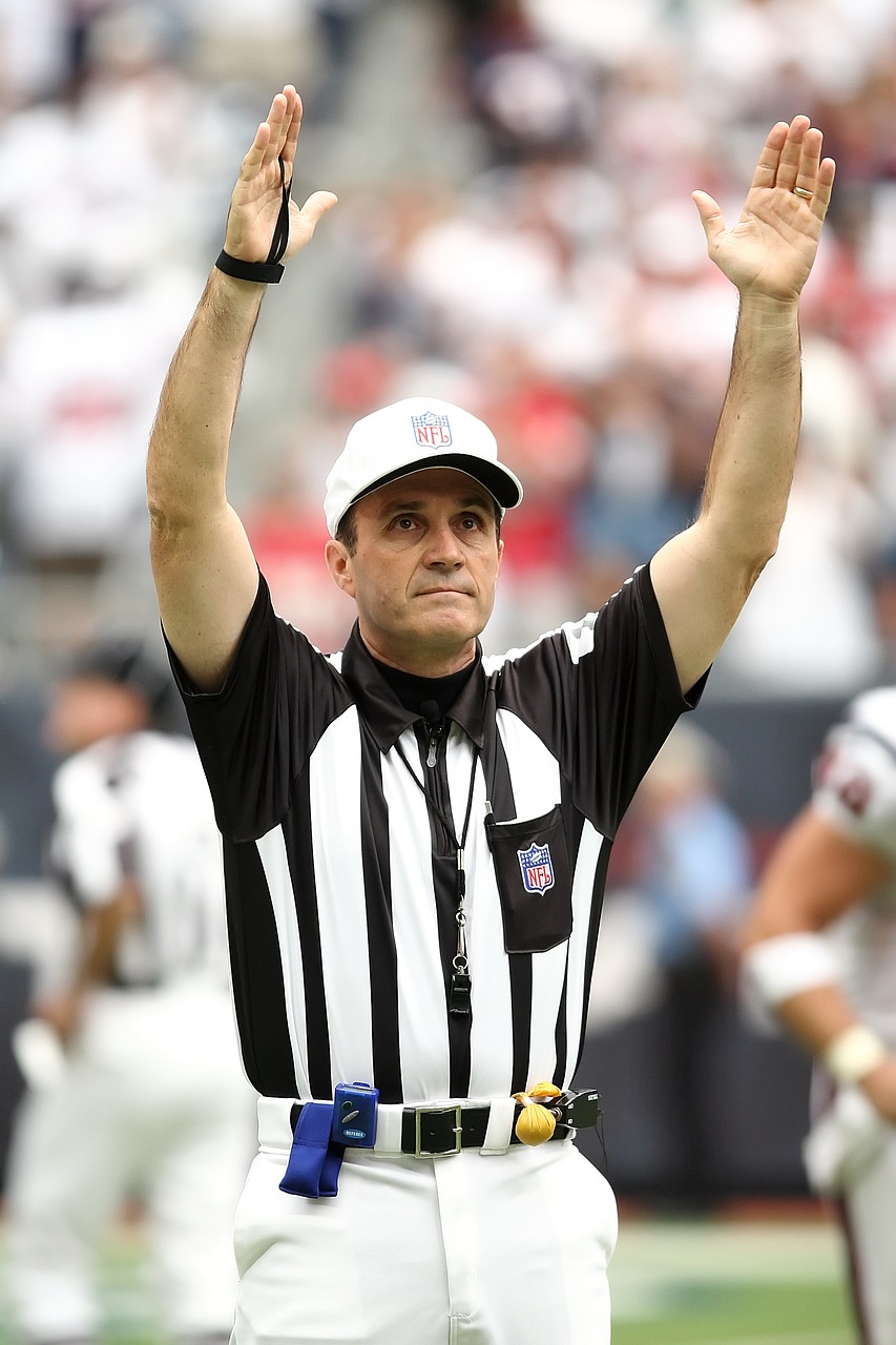 referee professional football touchdown free photo