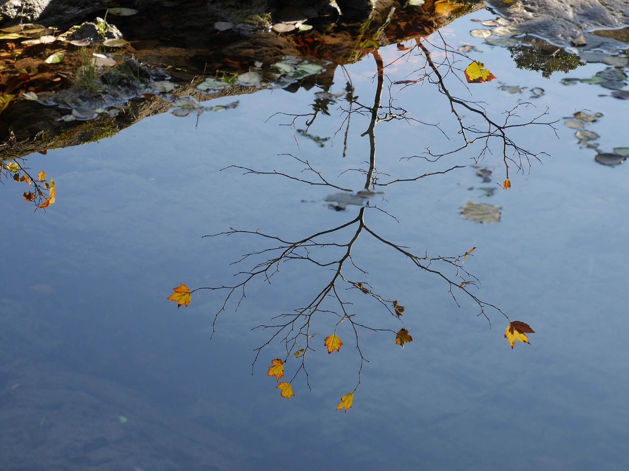 reflection fall river free photo