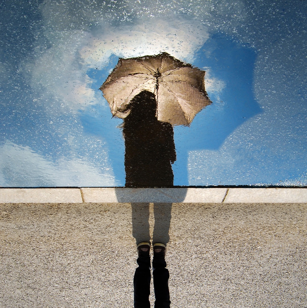reflection woman silhouette umbrella free photo