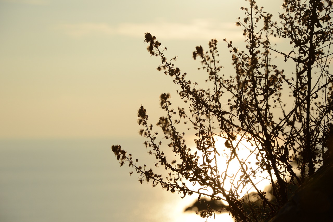 reflection sea italy free photo