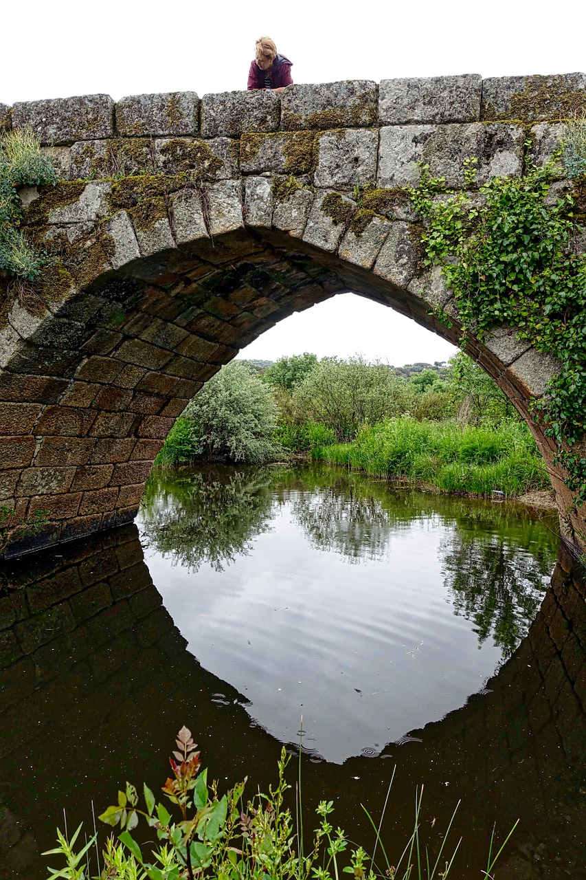 reflection arch bridge free photo
