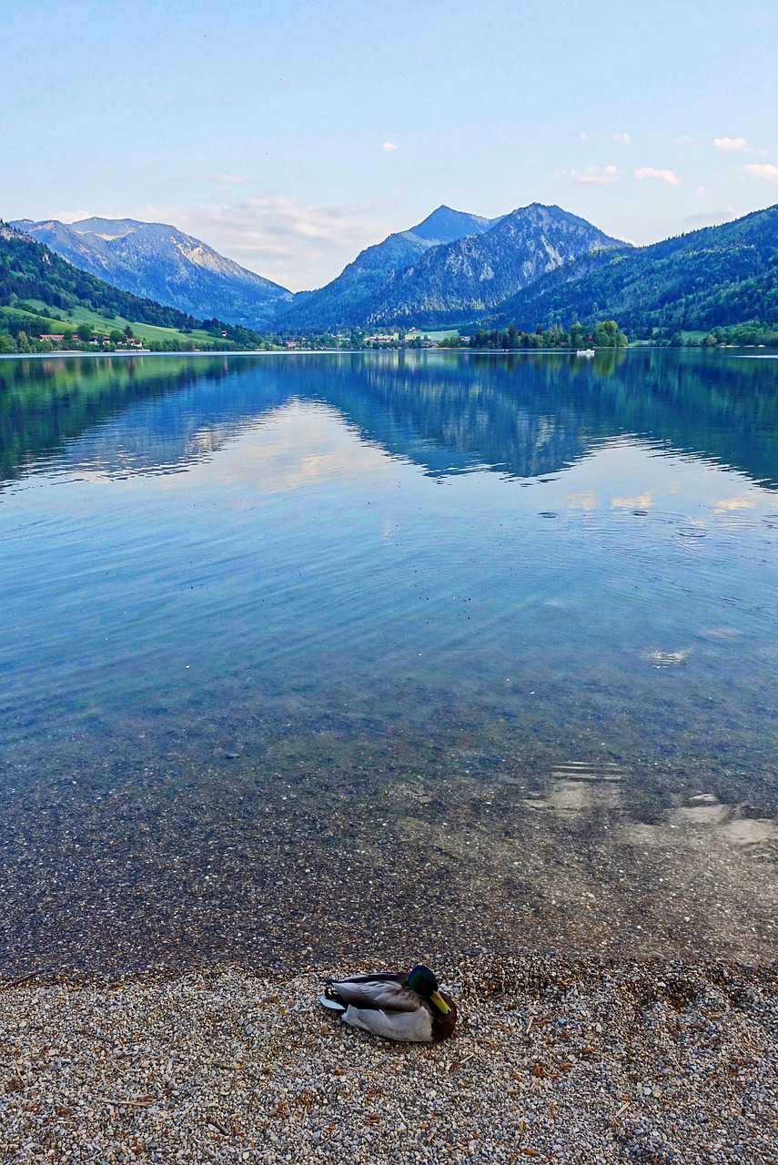 reflection lake water free photo