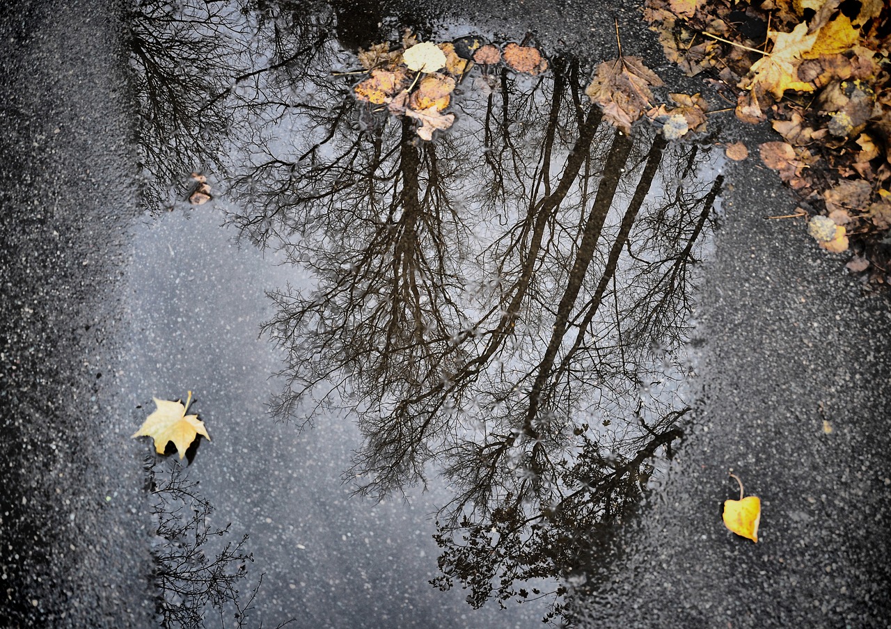 reflection puddle asphalt free photo