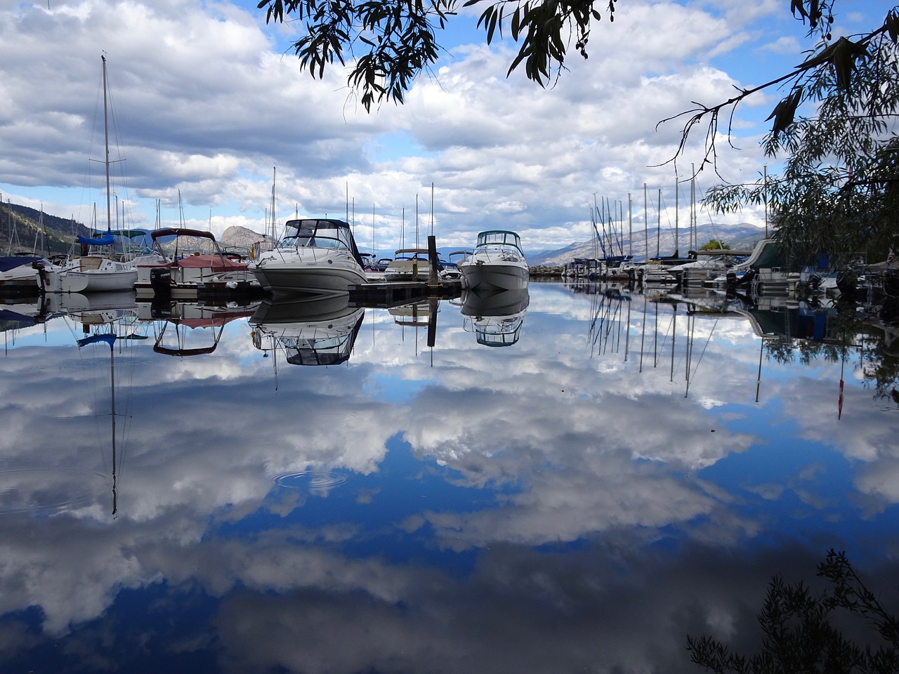 reflection harbour selection free photo