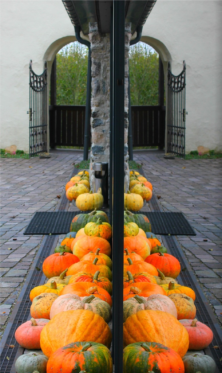 reflection pumpkin autumn free photo