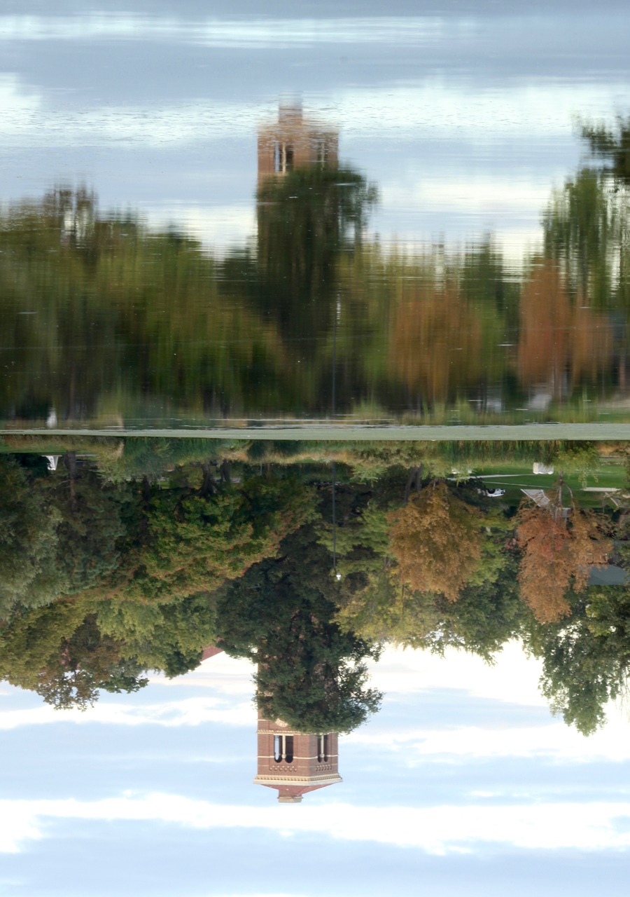 reflection trees tower free photo