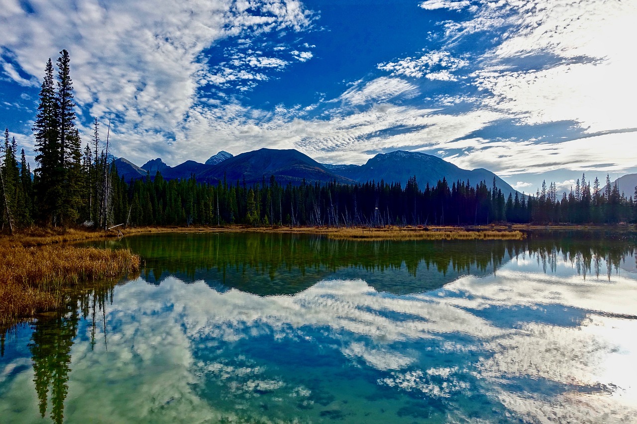 reflection water lake free photo