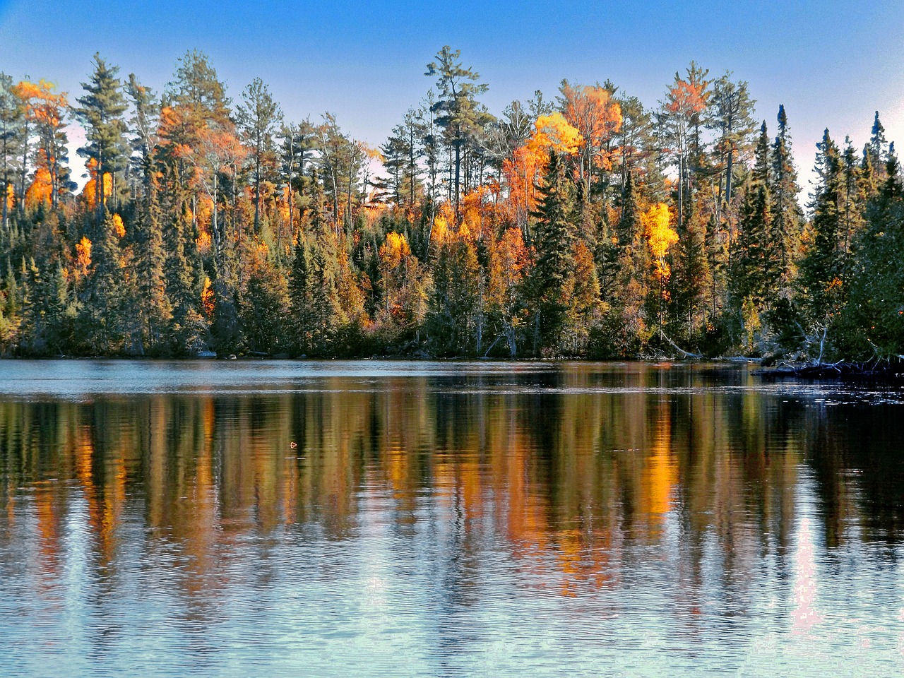 reflection autumn lake free photo