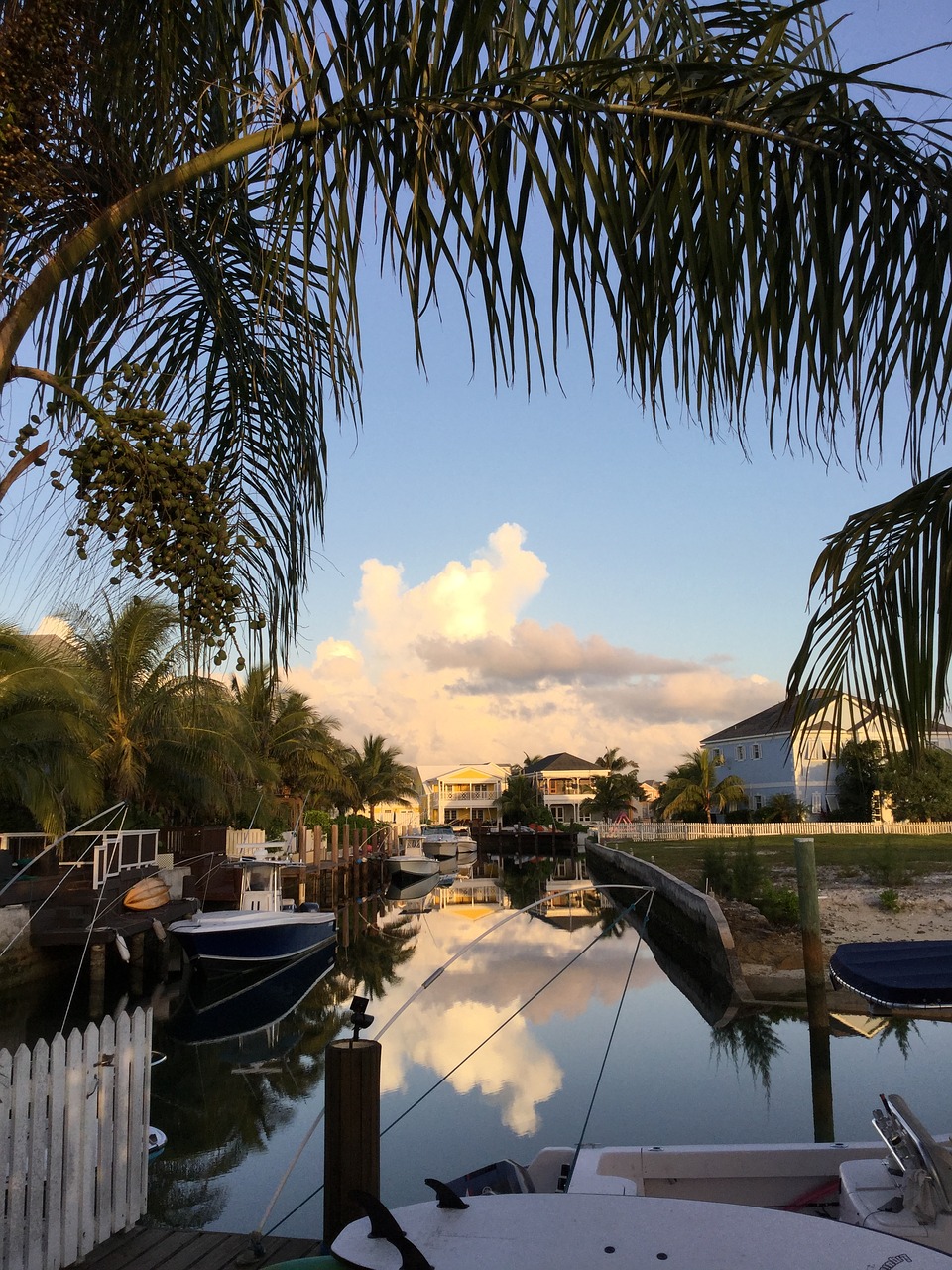 reflection tropical tranquil free photo