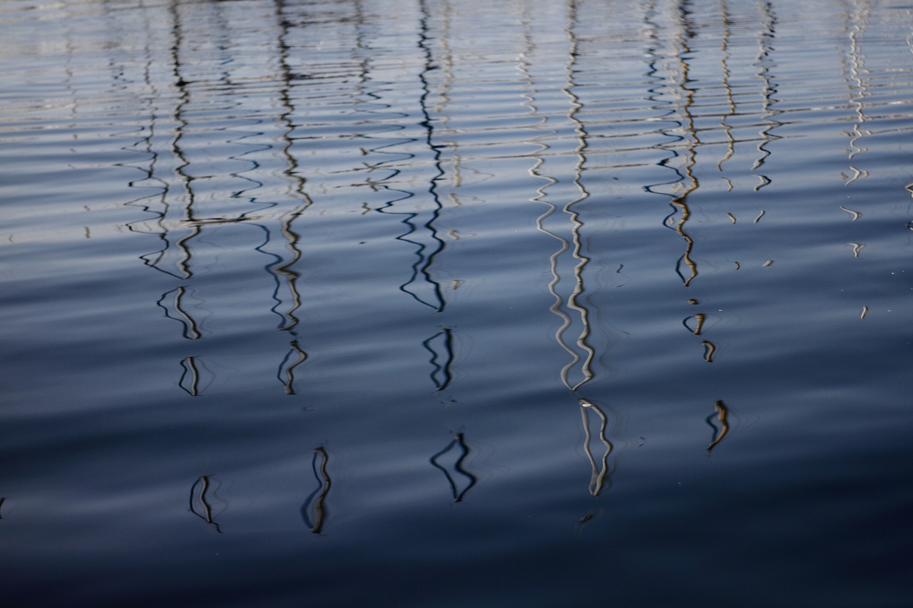 reflection water sea free photo