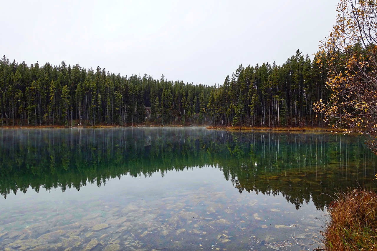 reflection lake water free photo