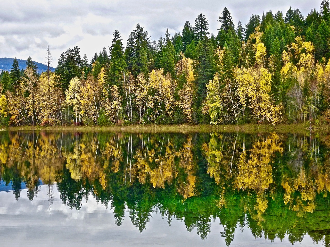 reflection water autumn free photo