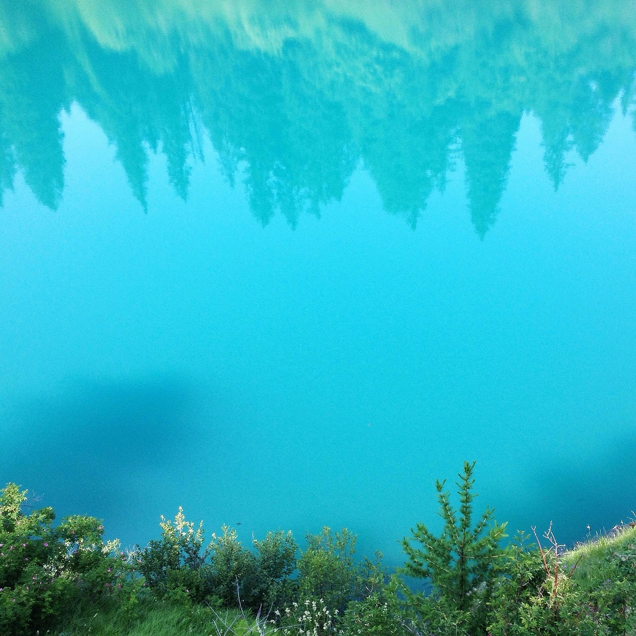 reflection nature lakes free photo