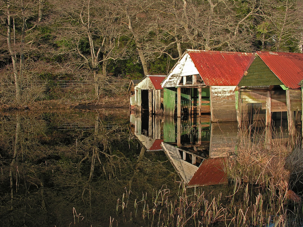 reflection shed water free photo