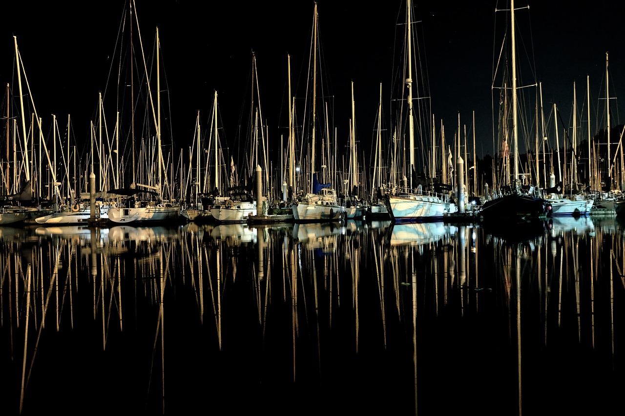 reflection dark night free photo