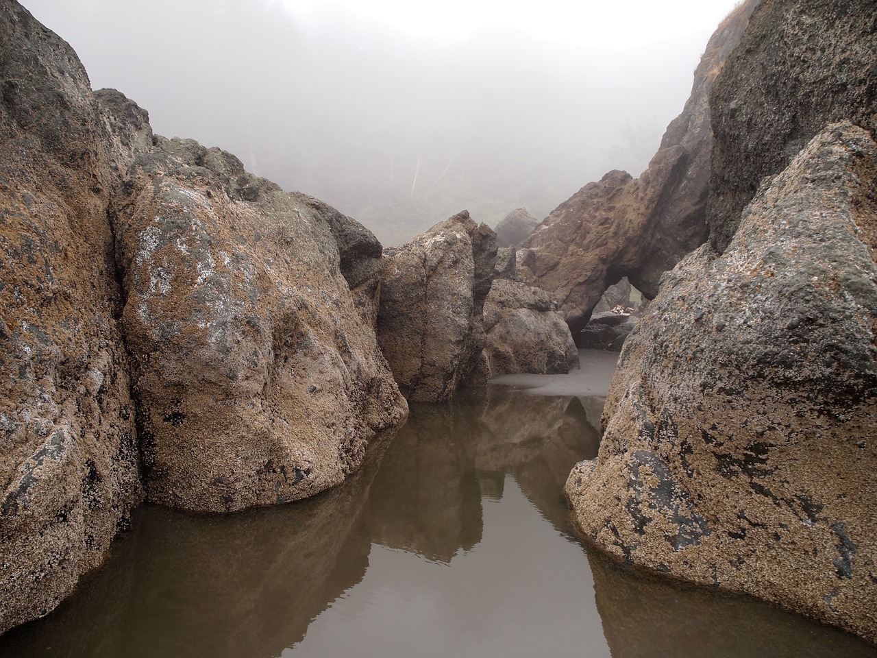 reflection water stones free photo