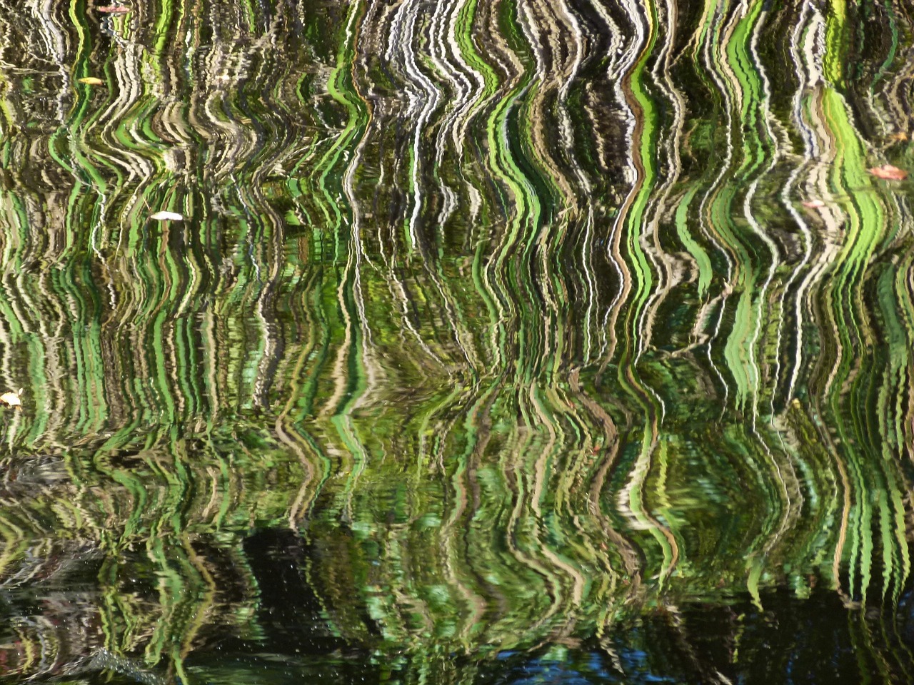 reflection distortion distorted free photo