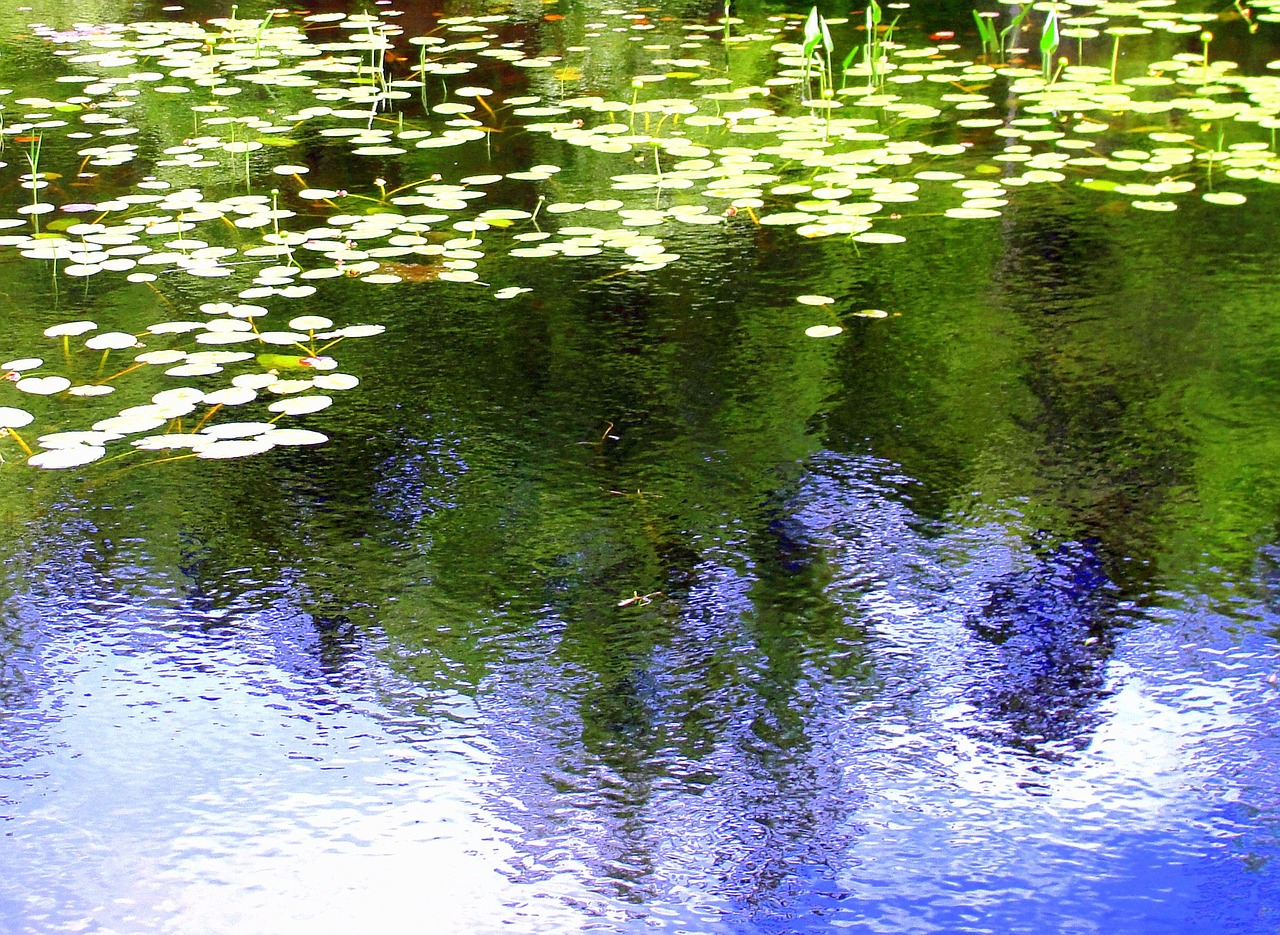 reflection water ripples free photo