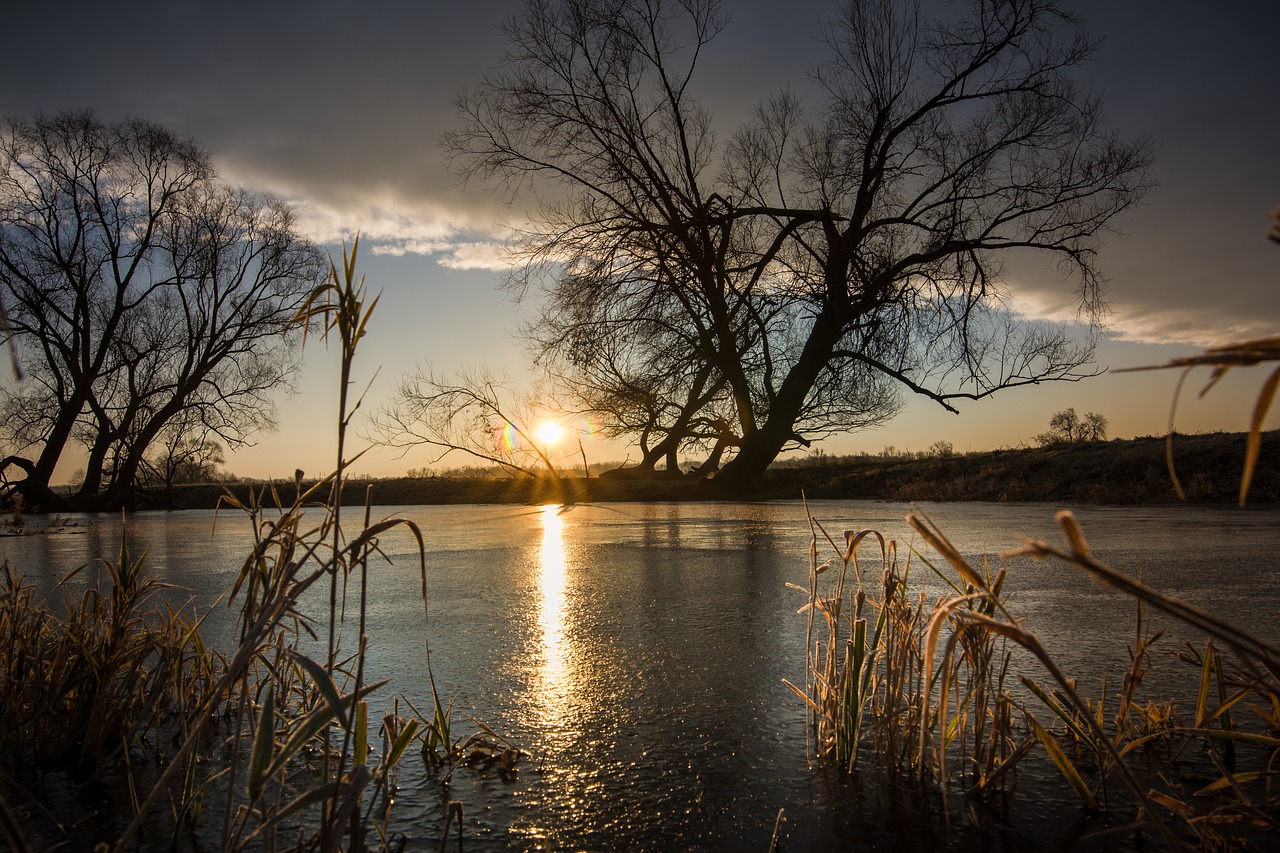 reflection dawn nature free photo