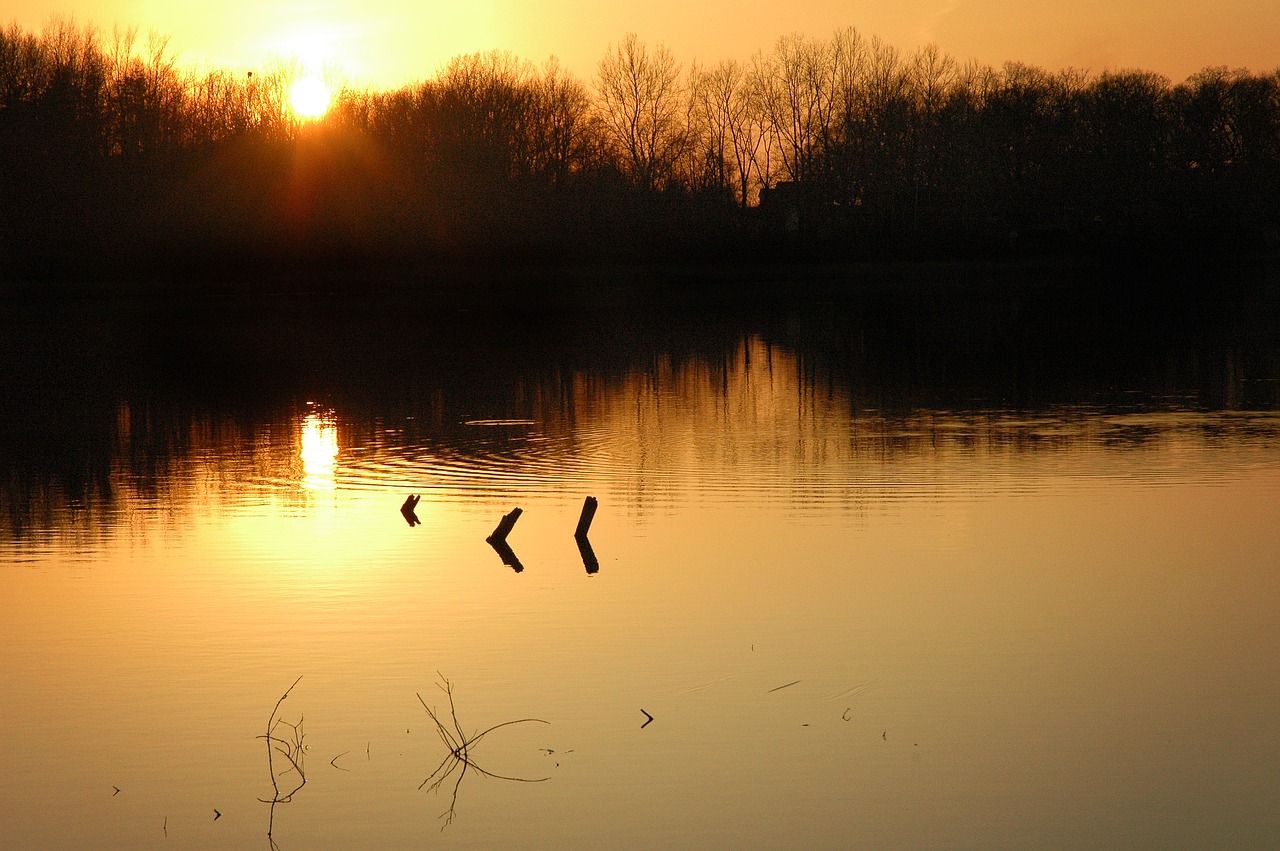 reflection water lake free photo