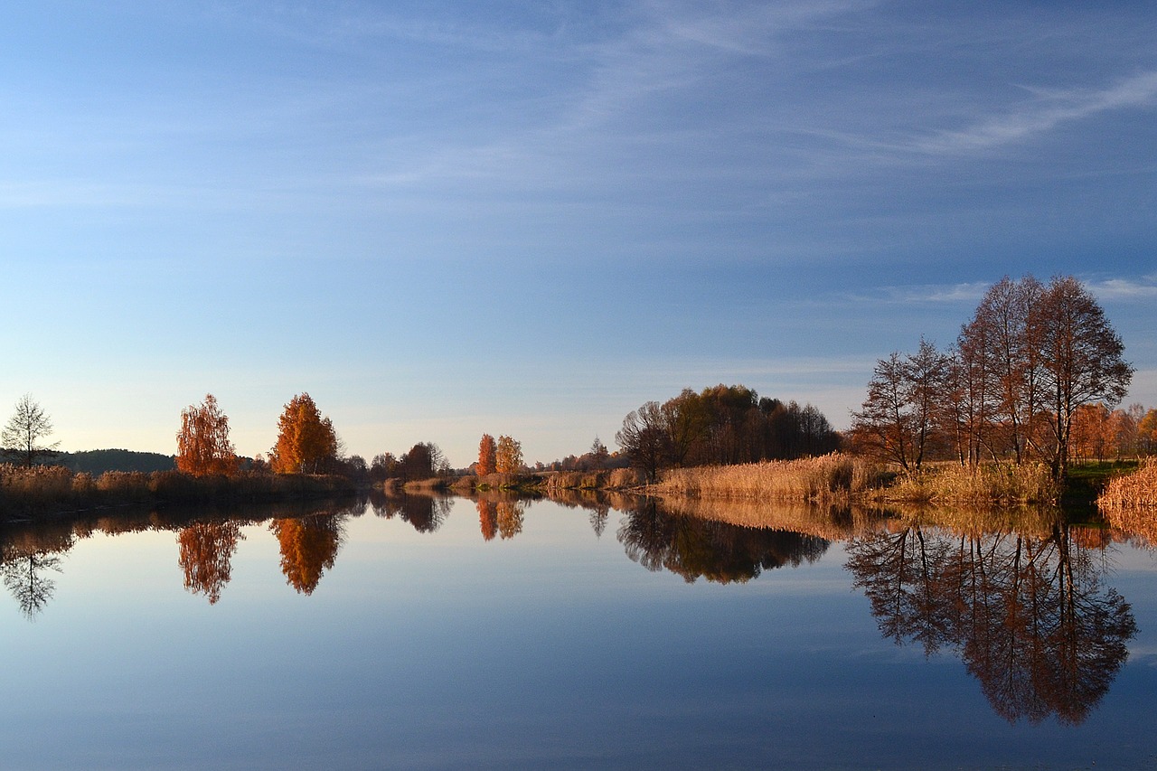 reflection water nature free photo