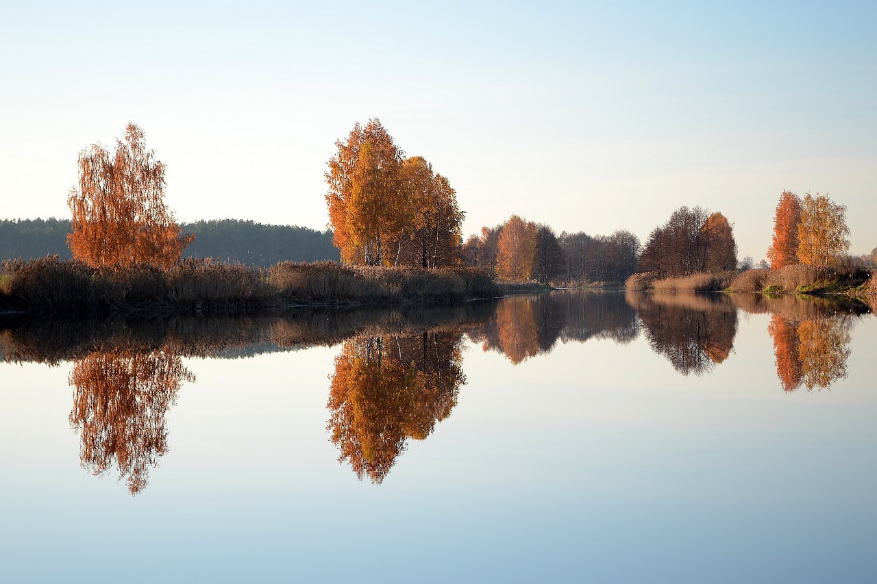 reflection nature water free photo