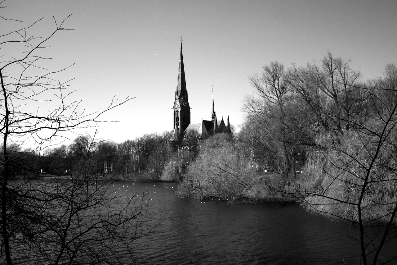 reflection tree river free photo