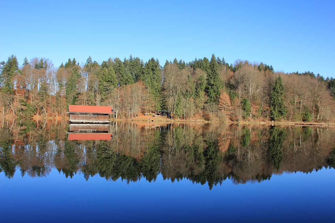 reflection lake nature free photo