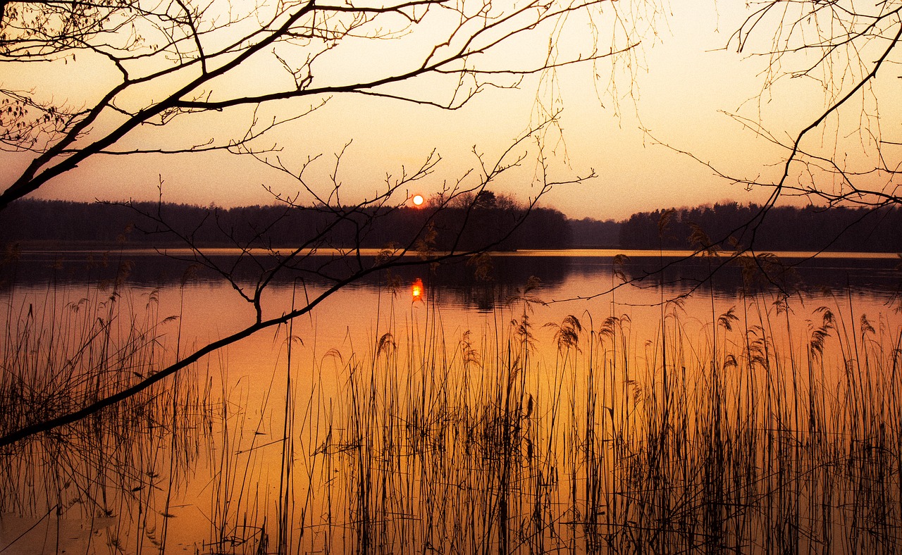 reflection waters dawn free photo