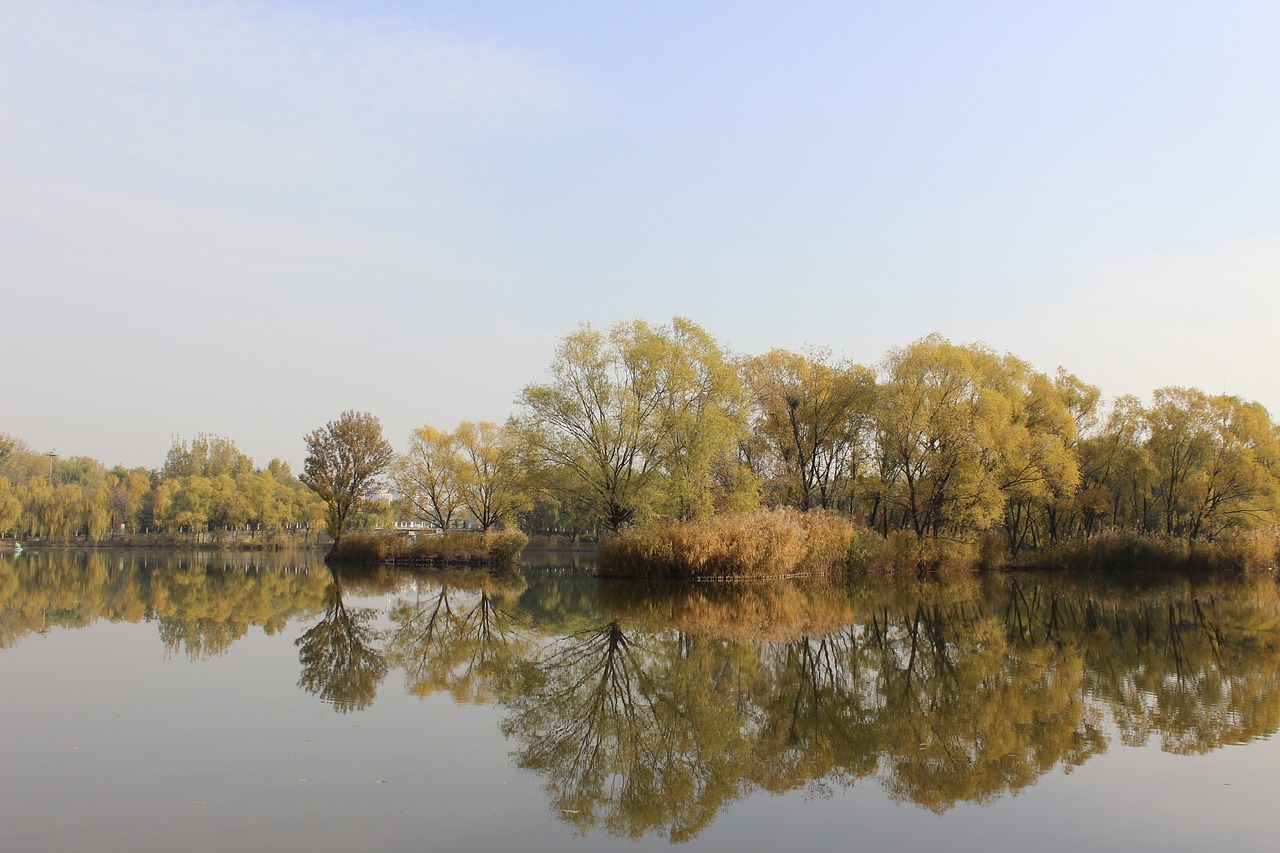 reflection nature waters free photo