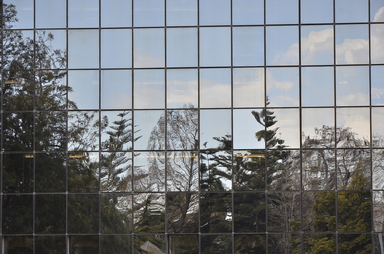 reflection vegetation glassware free photo