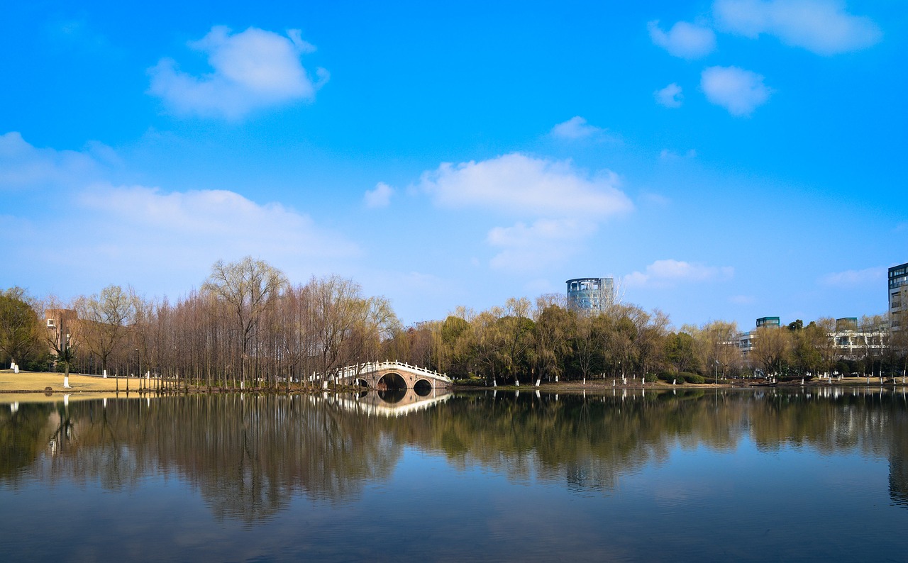 reflection  water  nature free photo