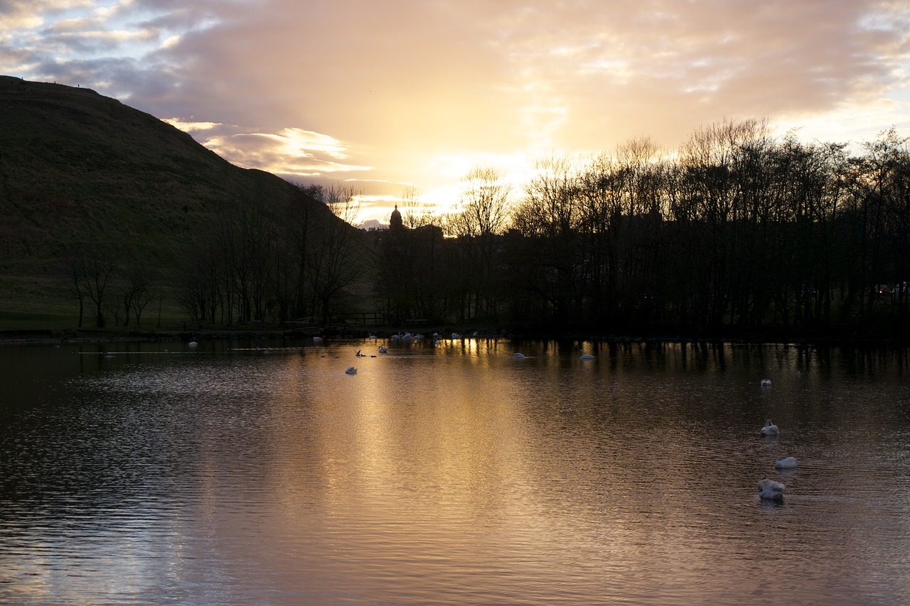 reflection  water  lake free photo