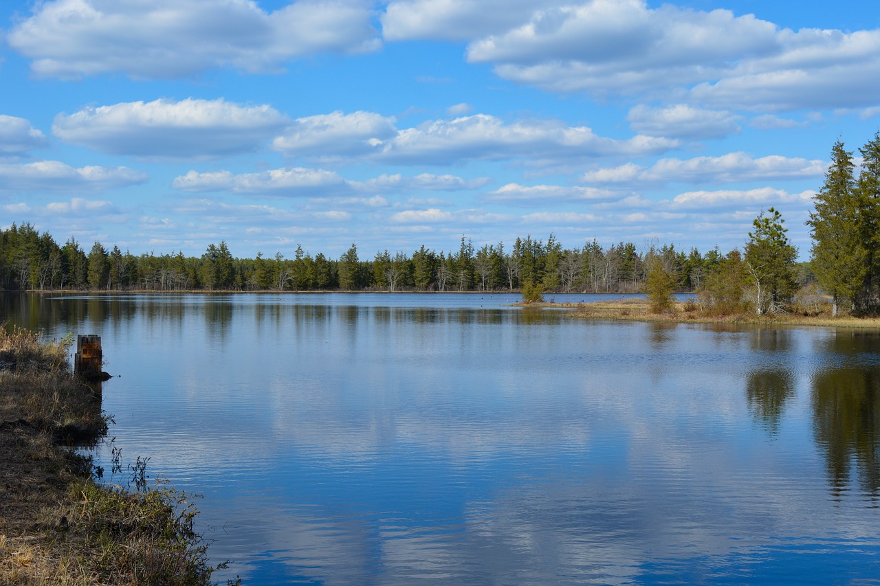 reflection  lake  water free photo