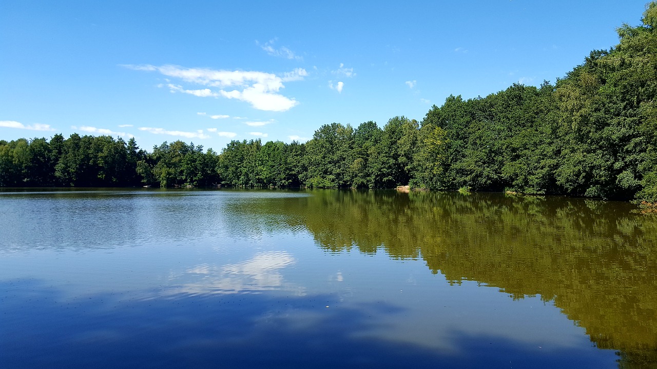 reflection  waters  lake free photo