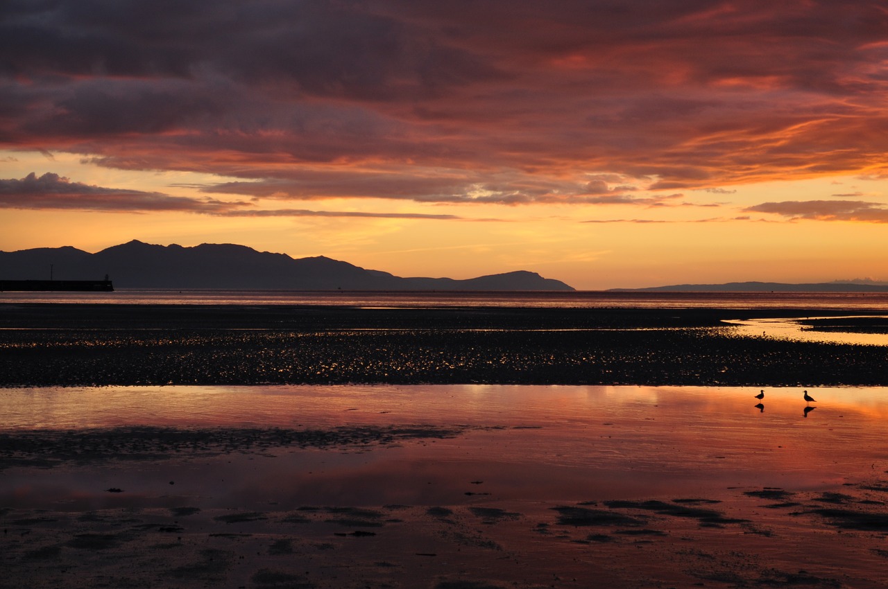 reflection  beach  island free photo