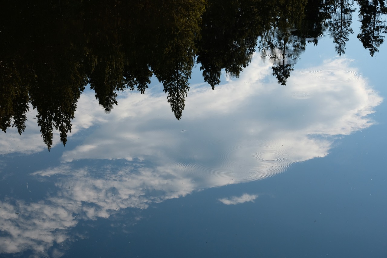 reflection  water  lake free photo