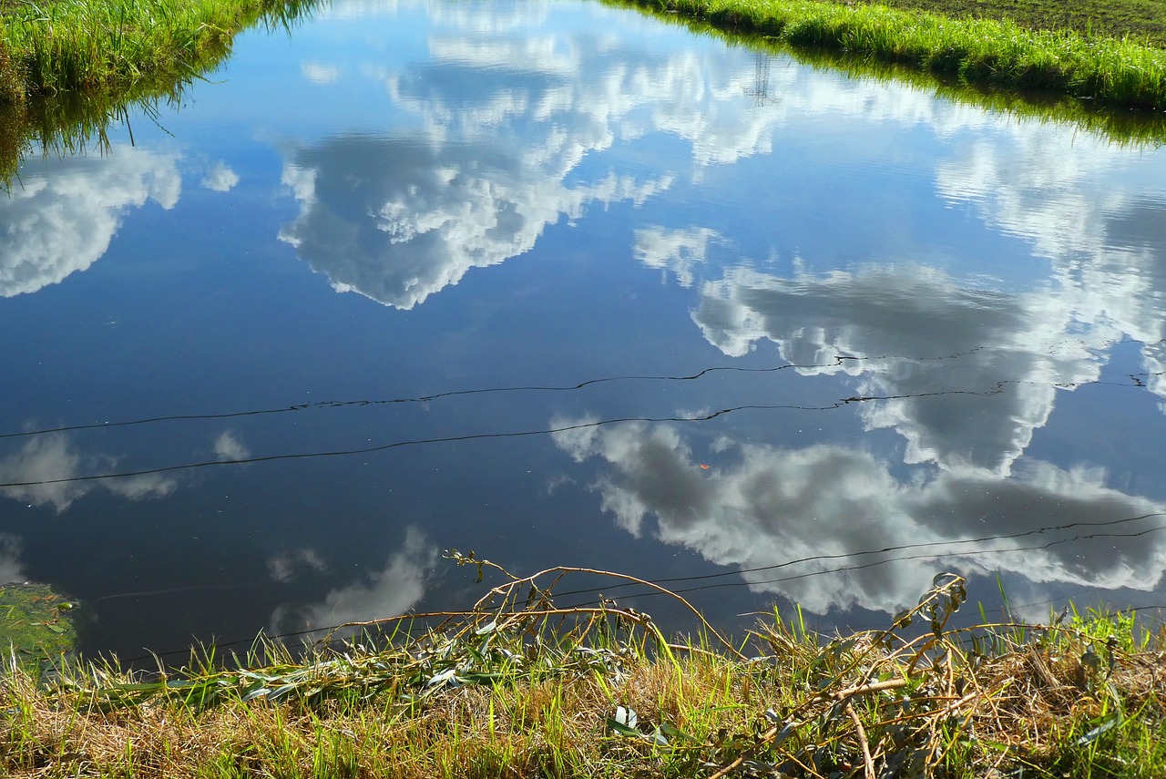 reflection  ditch  clouds free photo