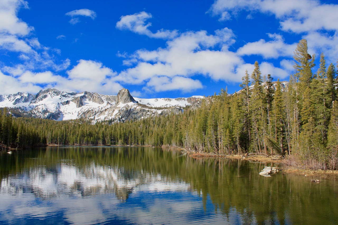 reflection  lake  forest free photo