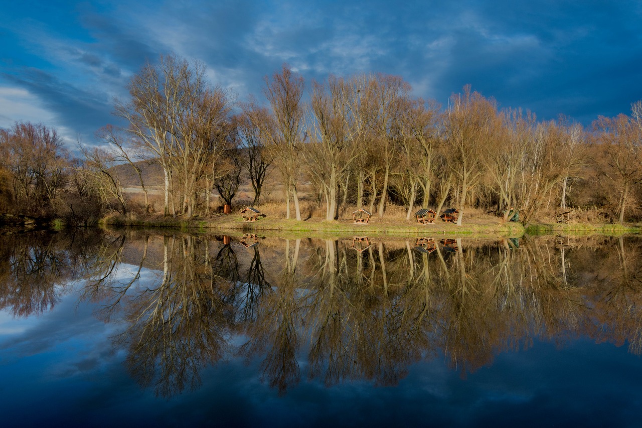 reflection  lakeside  fishing free photo