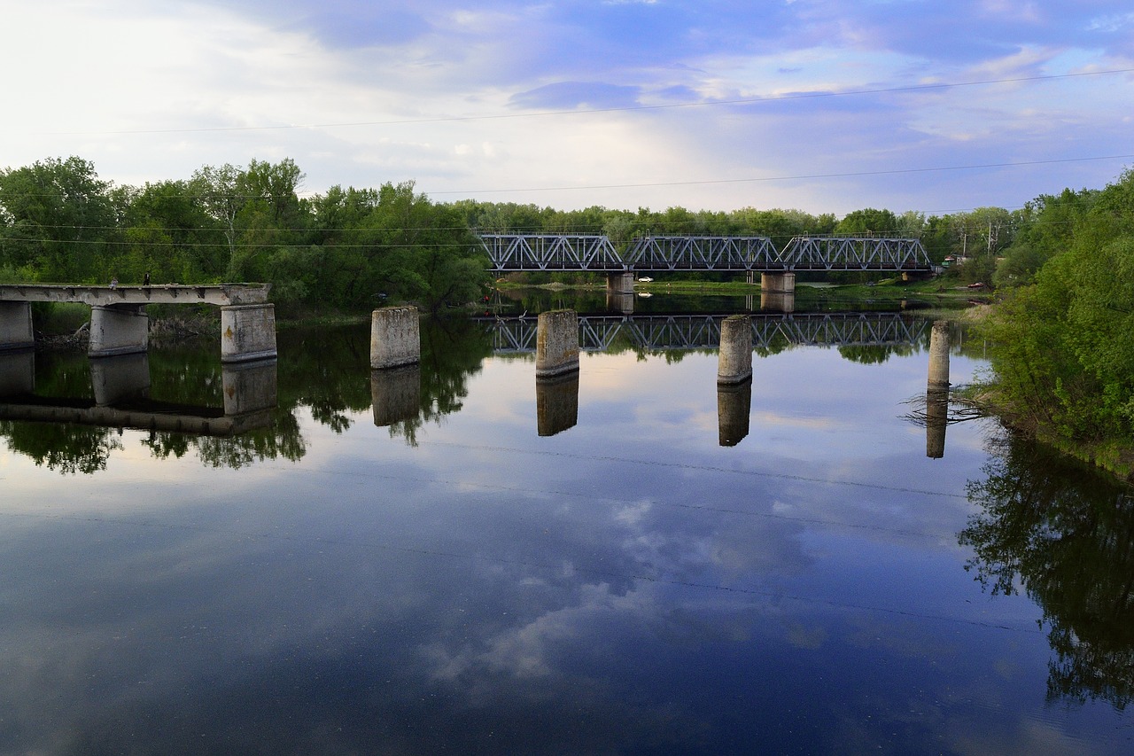 reflection  bridge  water free photo