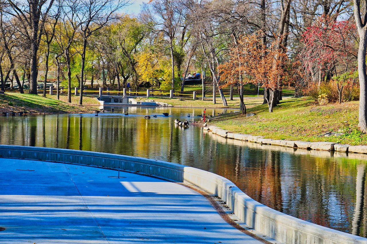 reflection  water  autumn free photo