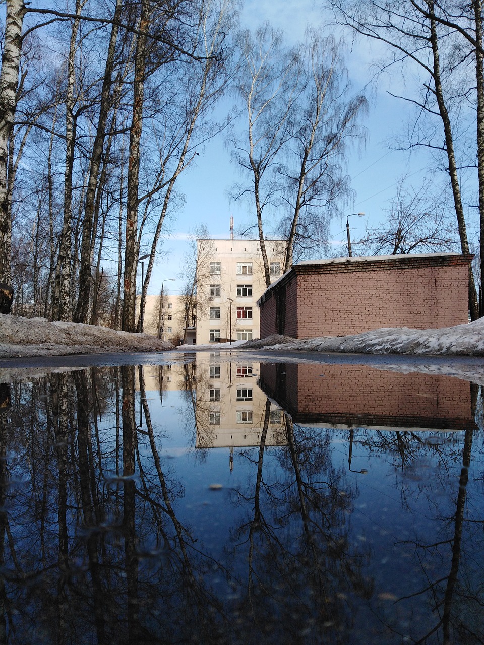 reflection  water  nature free photo