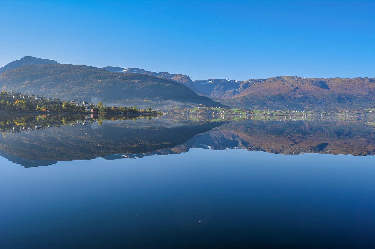 reflection  water  nature free photo