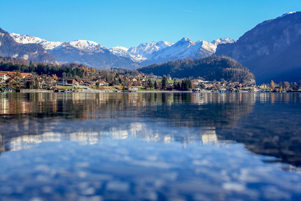 reflection  water  nature free photo