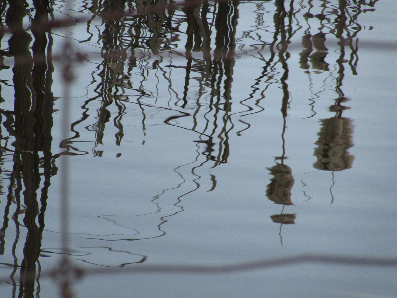 reflection pond forest free photo