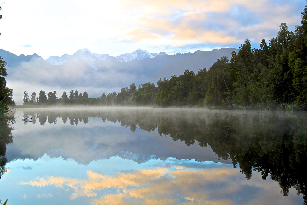 reflection water forrest free photo